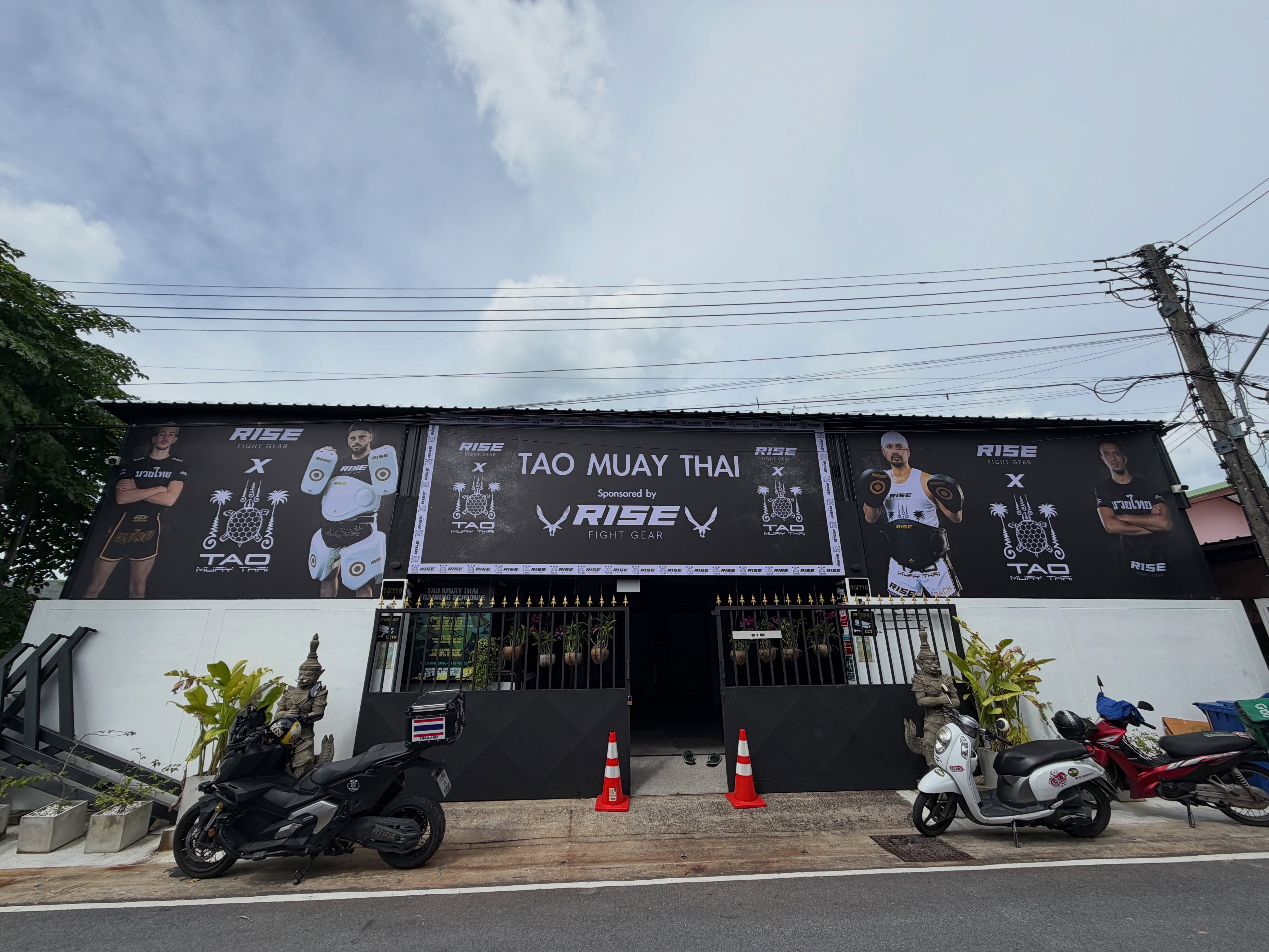 Tao Muay Thai